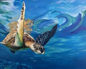 Turtle on Bottom