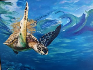Turtle on Bottom